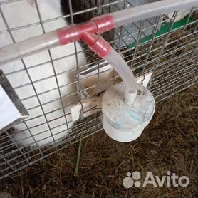 Как сделать кроликам ниппельную поилку