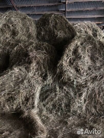 Сено в рулонах