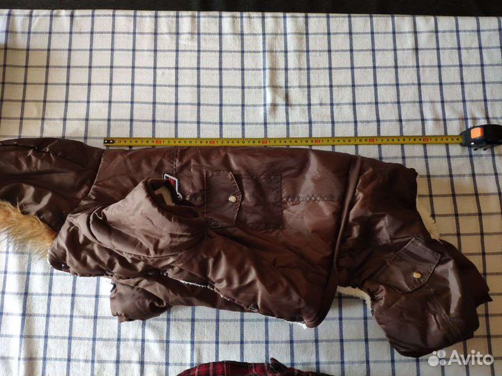 Одежда для средних собак