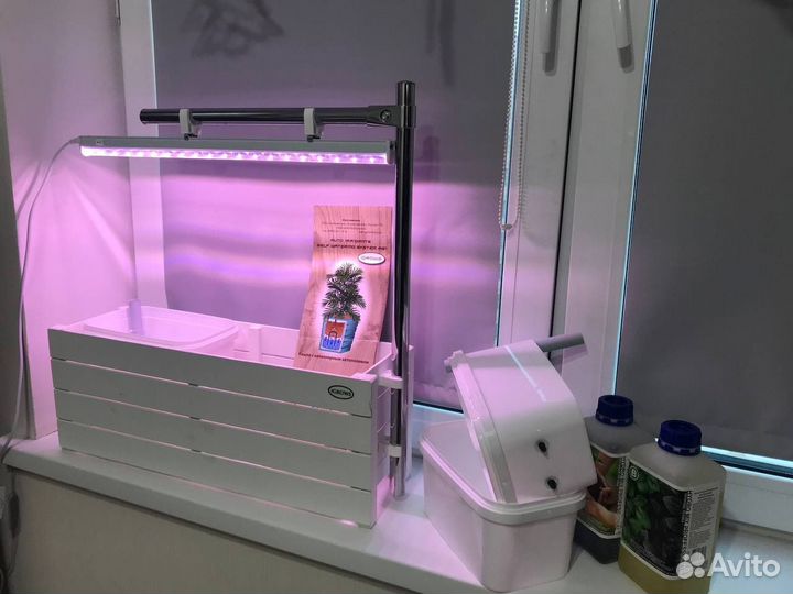 Продам кашпо для выращивания рассады и микрозелени