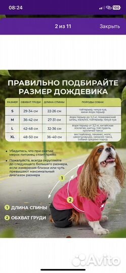 Одежда для средних собак