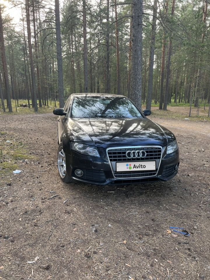 Audi A4: фото владельца