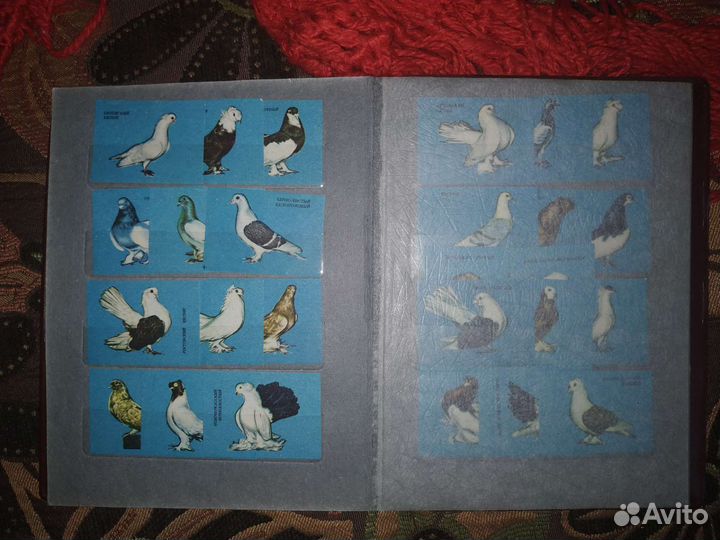 Календарики этикетки СССР собаки голуби растения