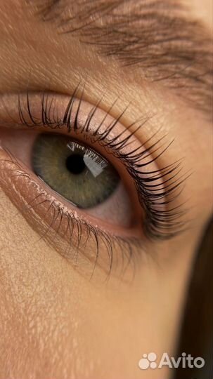 Ламинирование ресниц, брови