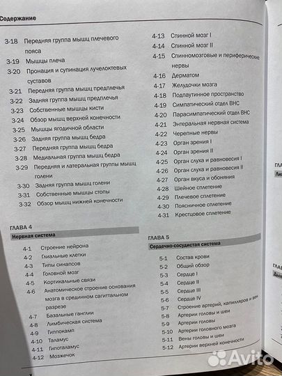 Атлас неттера