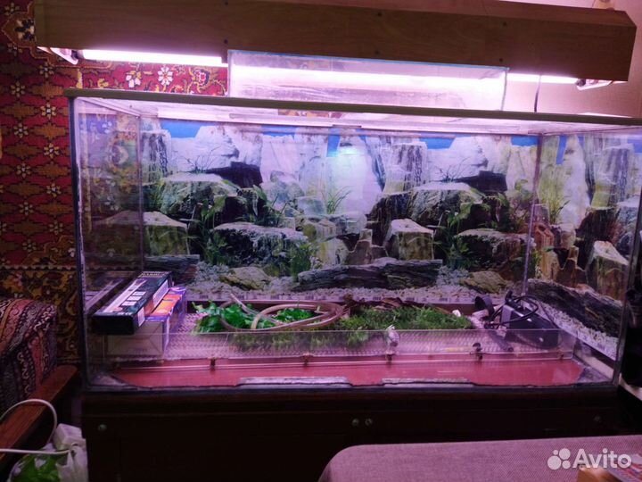 Аквариум 200 литров