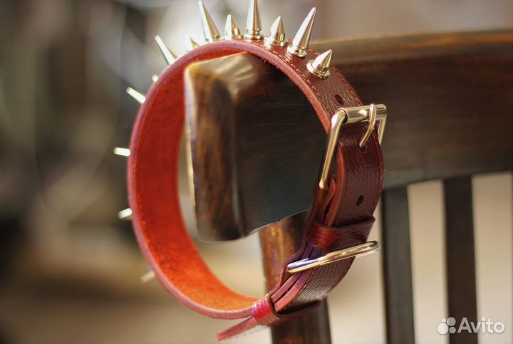 Эксклюзивные ошейники, любых размеров