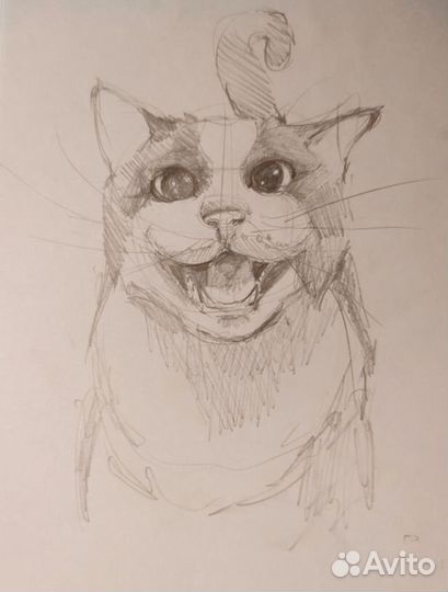 Рисую ваших питомцев