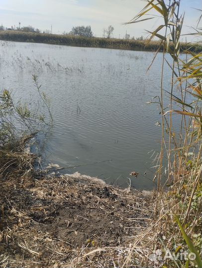 Платная рыбалка ростов на дону ст. Кривянская