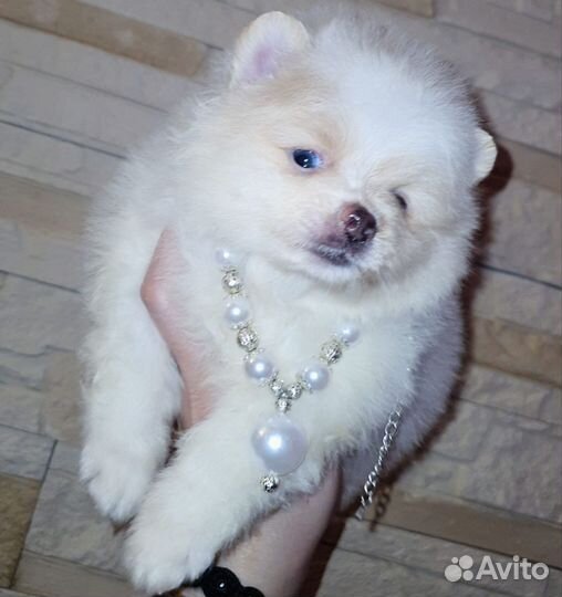 Супер кукольная девочка медвежонок,доставка