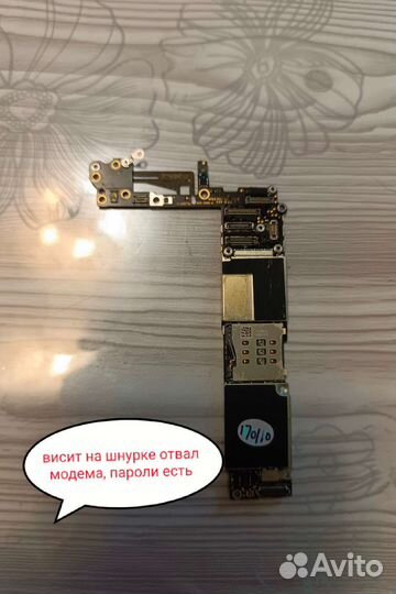 iPhone 6