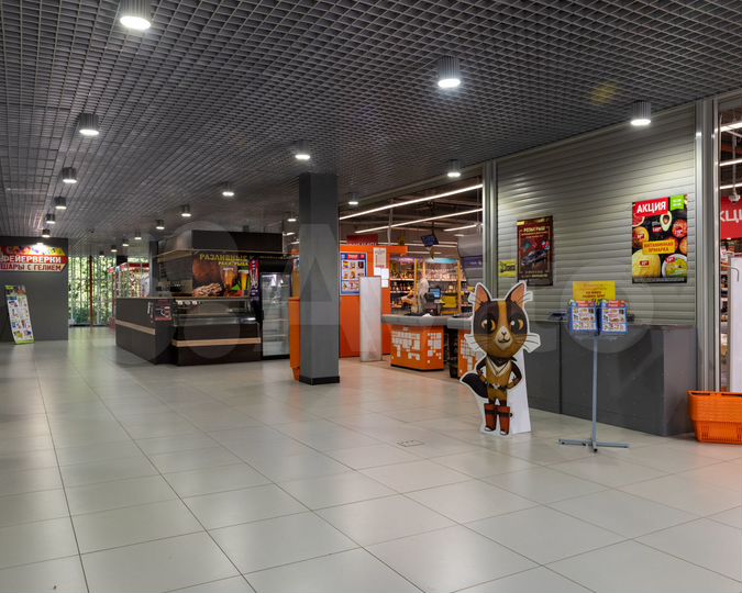 Торговое помещение, 265 м²