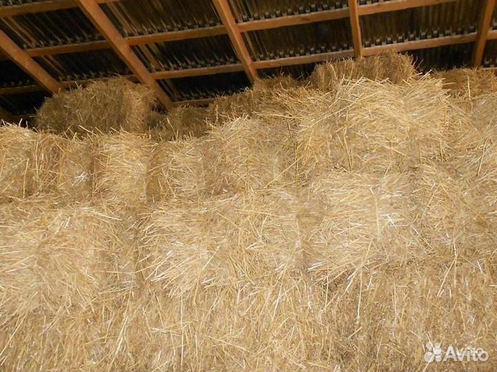 Сено на мульчевание