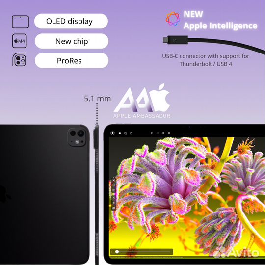 iPad PRO 11 M4 2024 256gb