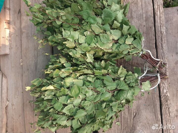 Свежие березовые веники для бани