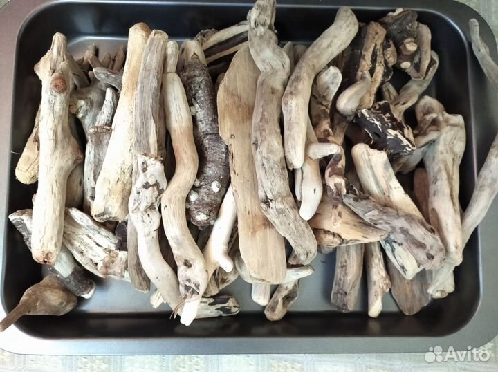 Коряги дрифтвуд