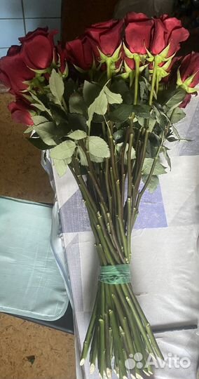 Розы красные