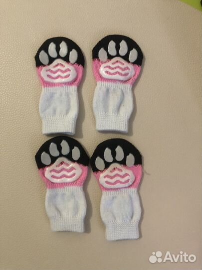 Собачьи носки