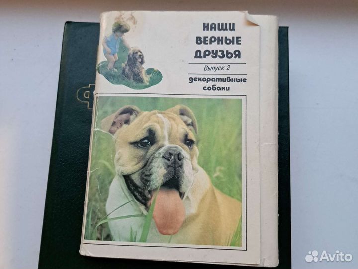 Открытки СССР
