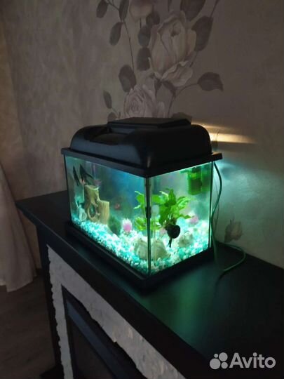 Аквариум