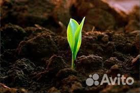 Навоз в мешках коровий конский