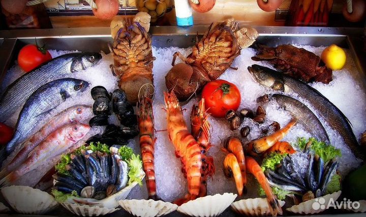 Франшиза свежих морепродуктов в топ-локации