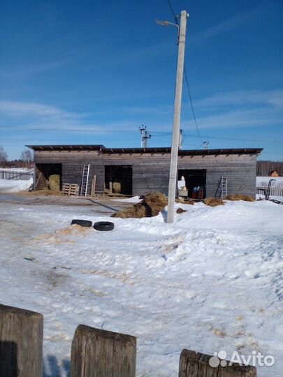 Животноводческая ферма продаю