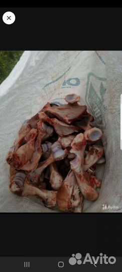 Мясо для собак свинина