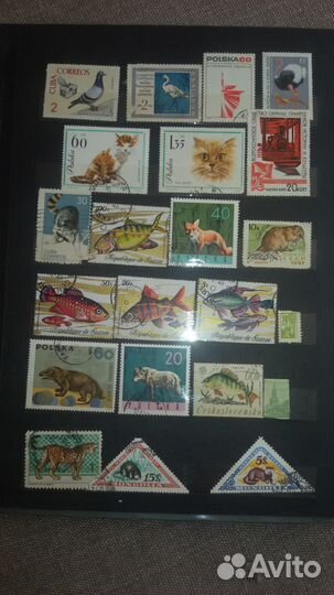 Коллекция марок