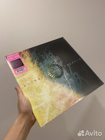 Animals As Leaders - 2LP (Neon Pink)