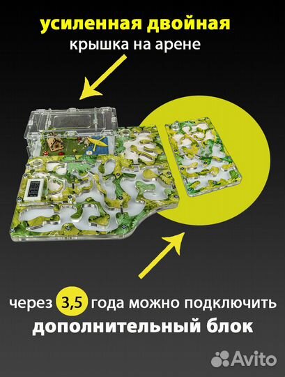 Муравьиная ферма (Формикарий) Макси c гигрометром