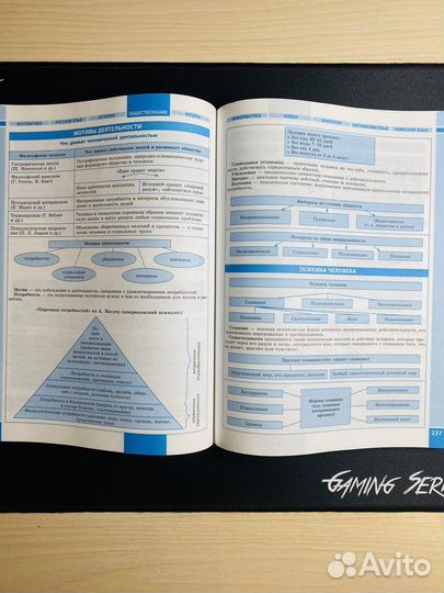 Современный справочник школьника 5-11 кл