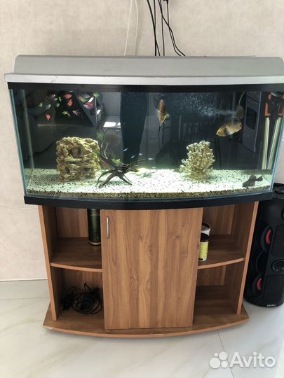 Аквариум с тумбой 170 литров