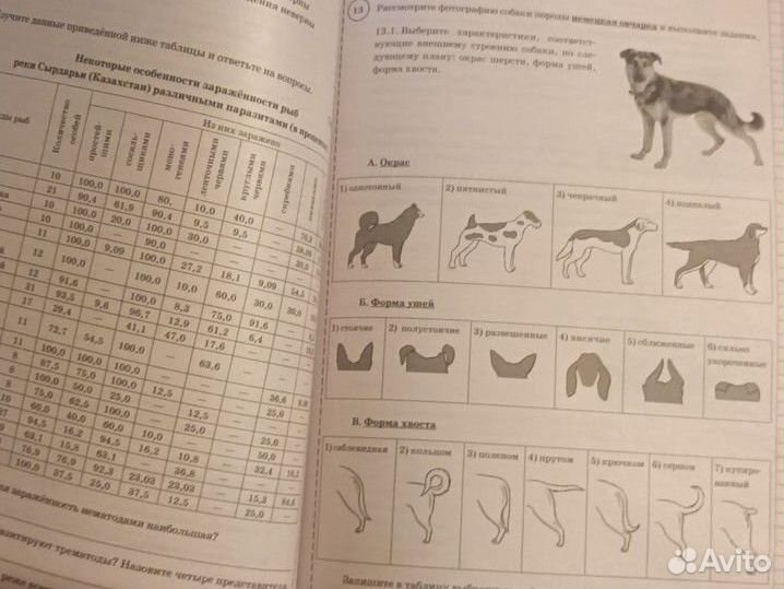 ВПР биология 8 класс