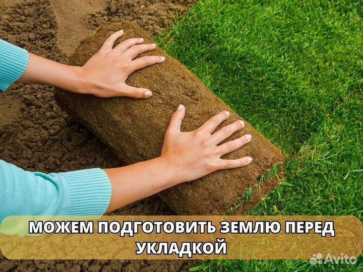Укладка и продажа рулонного газона