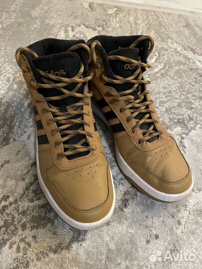 Кеды adidas hoops