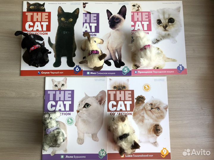 The cat collection