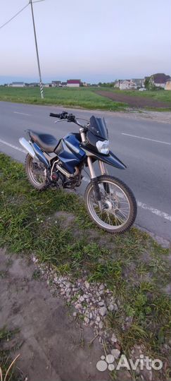 Irbis xr250r