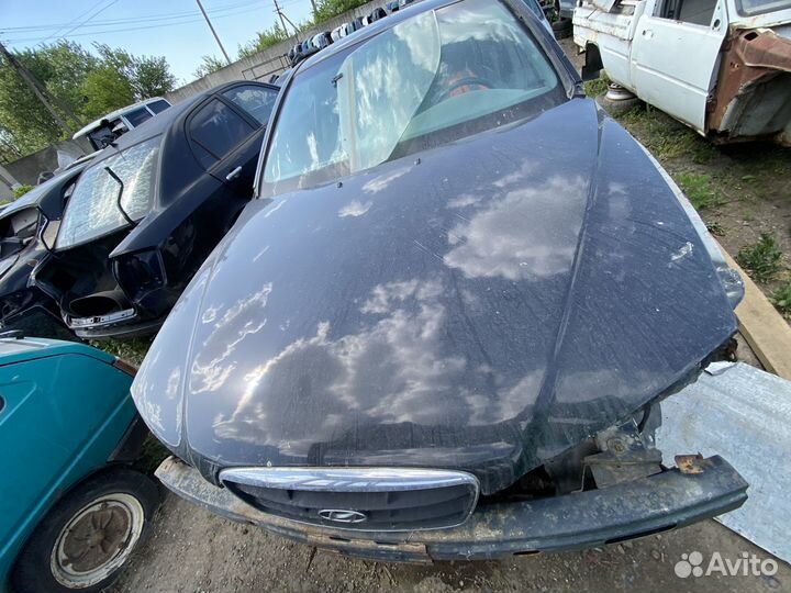 Капот Hyundai Elantra