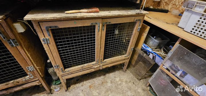 Брудер для цыплят