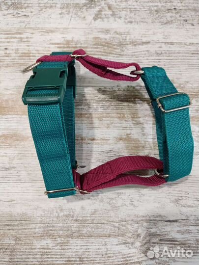 Шлейка для собаки ручной работы