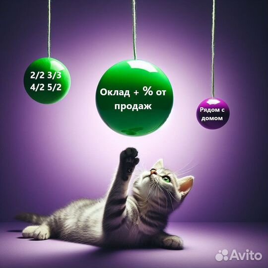 Продавец без опыта (г. Бор)