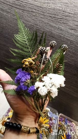 Наборы Сухоцветов 