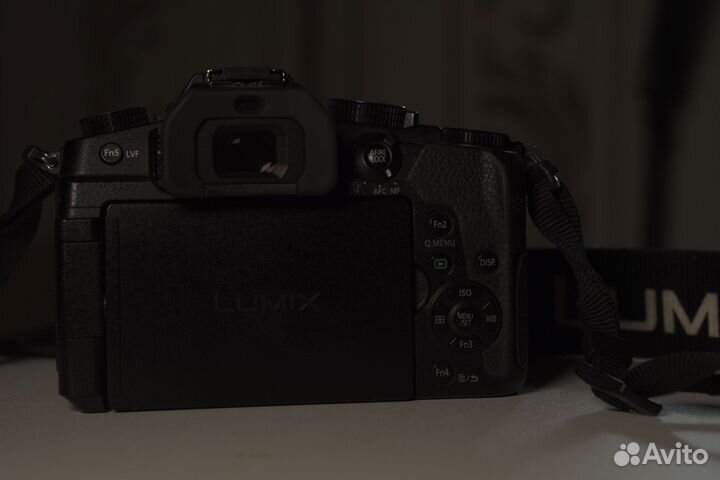 Panasonic Lumix DMC-G80 + Summilux 25mm f/1.4