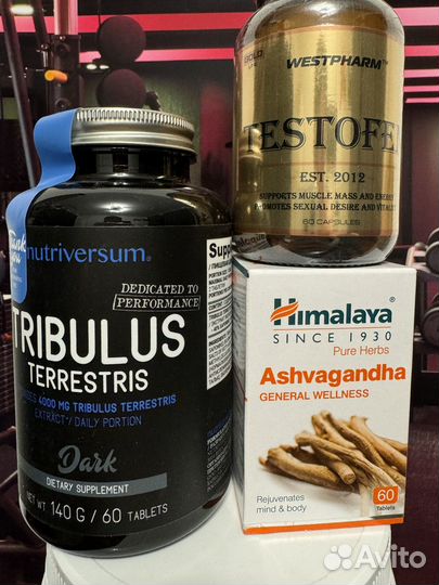 Набор спортивное питание