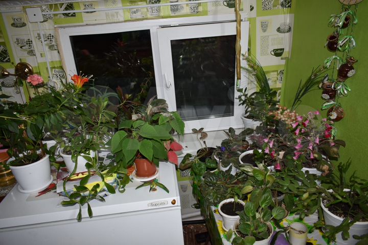 Дом 57,7 м² на участке 11 сот.