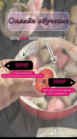 Онлайн Обучение клубника в шоколаде