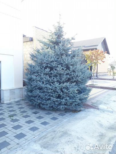 Услуги