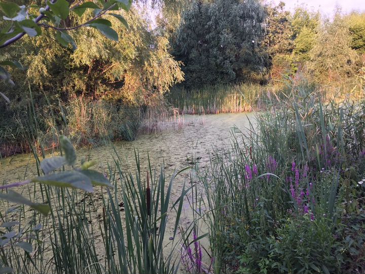 Дом 90 м² на участке 15 сот.