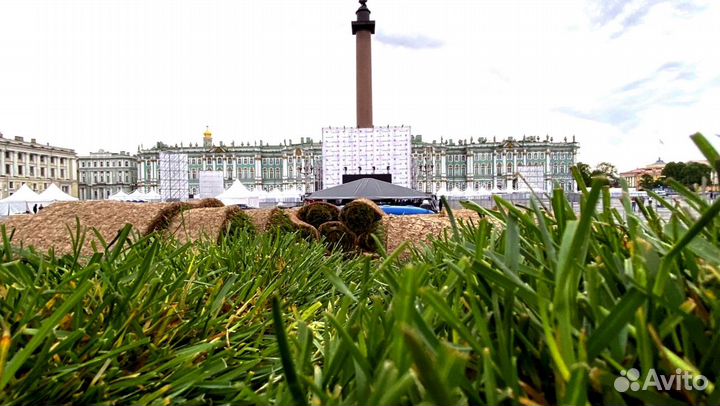 Рулонный газон